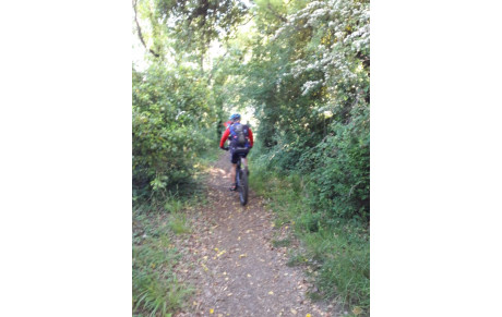 VTT